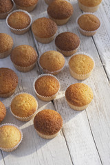 freshly baked cupcakes on sunny table