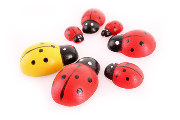 Toy ladybirds isolated on white
