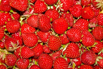 Erdbeeren