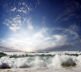 Gorgeous Beach in Summertime