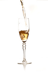 champagne