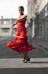 Flamenco Dancer red dress move - 25853623
