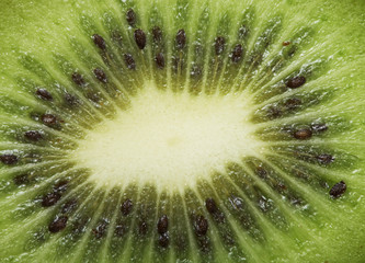 Slice of kiwi macro