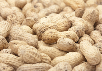 Peanut in shell