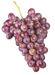 Grape fruit