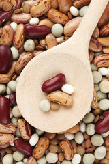 veschiedene Hülsenfrüchte auf Kochlöffel