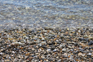 pebbles leafs sea water tree stones autumn sea underwater