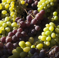 mélange de raisins blancs et rouges