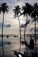 Holiday Paradise