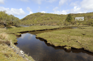 Fototapeta na wymiar Loch Nedd
