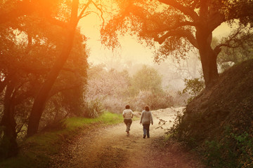 Fototapeta premium Two women walking under trees in scenic park at sunset.