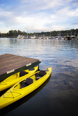 Two Yellow Kayaks on the Lake