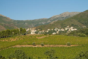 village corse (patrimonio)