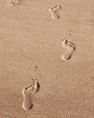 Empreintes de pied sur le sable humide