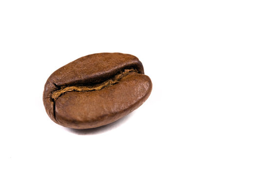 macro shot of a coffee bean, isolated on white