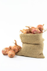 French Shallots in burlap bag.