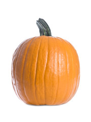 Big Pumpkin Isolated on White