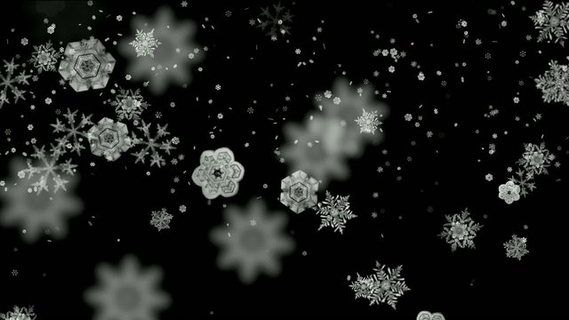 white snowflake falling
