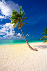 Holiday Paradise