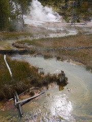 Yellowstone Nationalpark