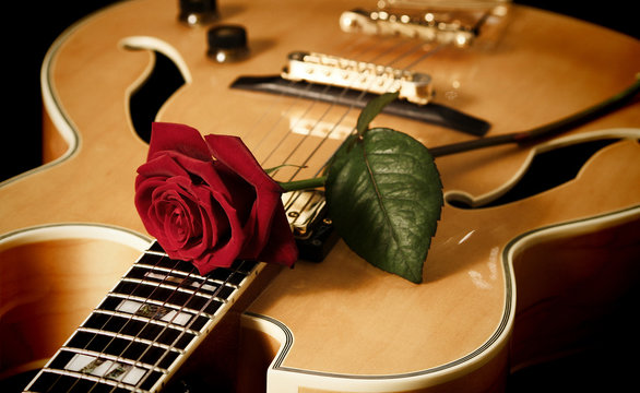 Red rose and jazz guitar