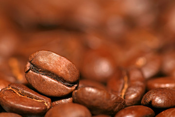 Close up of coffee bean on coffee's background