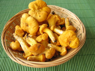Pfifferlinge im Körbchen