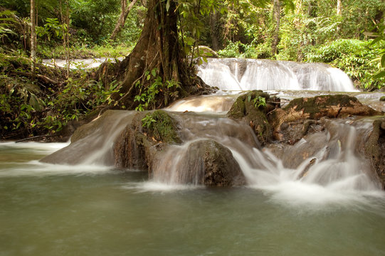 รูปภาพManora – เลือกดูภาพถ่ายสต็อก เวกเตอร์ และวิดีโอ559 | Adobe Stock