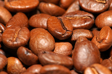 View on spilled coffee beans
