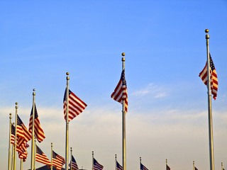 USA Flags in the Washington Monument