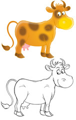 Cow