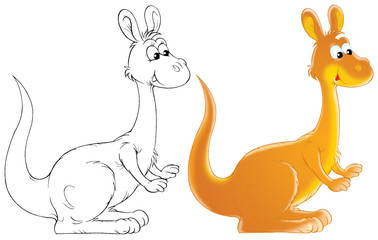 Kangaroo