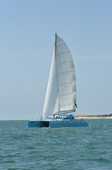 Fototapeta premium catamaran bleu