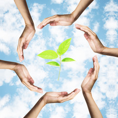 green plant surrounded by hands over blue sky