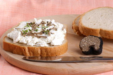 Brot mit Quark und Trüffel