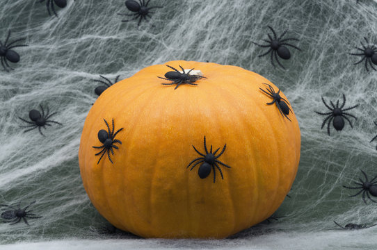 Halloween Pumpkin with Spiders on a Green Background.