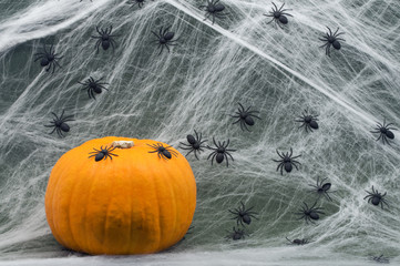 Halloween Pumpkin with Spiders on a Green Background.