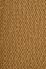 Canvas Texture