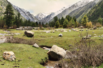 Fototapeta na wymiar Himalayan vista 5