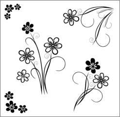 Blumen, Blüten, Ranke, floral, filigran, vector set
