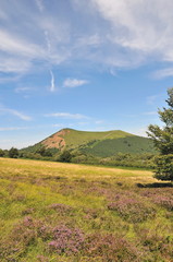 Obraz premium Bruyère au pied du puy Pariou