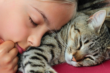 sieste avec le chat
