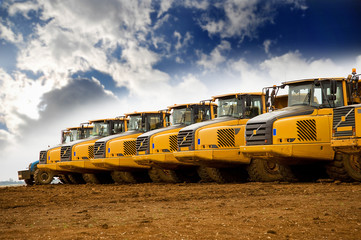 Row of yellow heavy tipper trucks