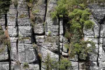Felsen an der Bastei (Sachsen)