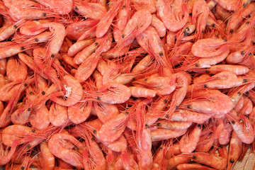 Shrimps at Bergen fish market (fisketorget) in Norwey