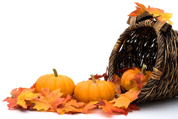 Fototapeta premium Autumn scene