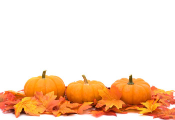 autumn background