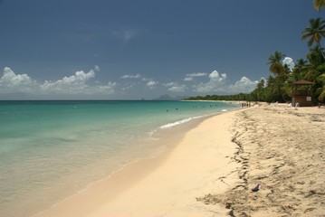 Longue plage en Martinique