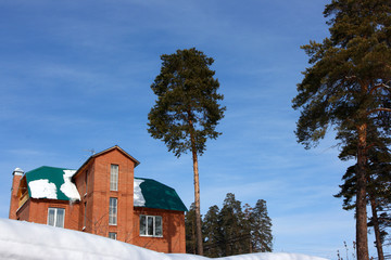 Brick mansion and pine trees against a blue sky in the winter