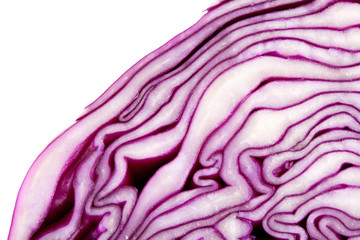 Red Cabbage macro